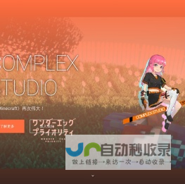复合网络 - COMPLEX STUDIO